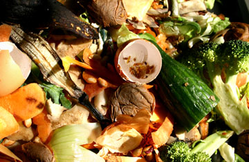 food waste