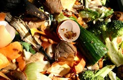 food waste food waste