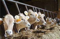 marionette76/iStockphoto/Thinkstock marionette76/iStockphoto/Thinkstock