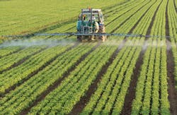 Federico Rostagno/iStockphoto/Thinkstock Federico Rostagno/iStockphoto/Thinkstock