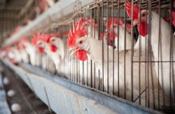 Ryan Rodrick Beiler/iStockphoto/Thinkstock Ryan Rodrick Beiler/iStockphoto/Thinkstock