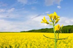 Rene Walter/iStockphoto/Thinkstock Rene Walter/iStockphoto/Thinkstock