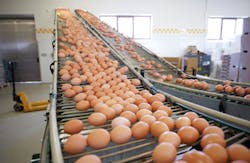 egg factory Chalabala/iStockphoto/Thinkstock egg factory Chalabala/iStockphoto/Thinkstock