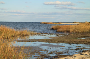 Gary Andrashko/iStockphoto/Thinkstock