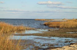 Gary Andrashko/iStockphoto/Thinkstock Gary Andrashko/iStockphoto/Thinkstock