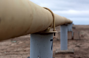 iStockphoto/Thinkstock