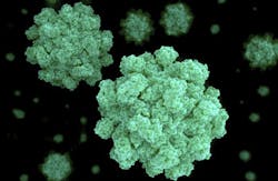 Norovirus (selvanegra/iStockphoto/Thinkstock) Norovirus (selvanegra/iStockphoto/Thinkstock)