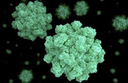 Norovirus (selvanegra/iStockphoto/Thinkstock)