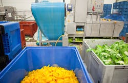 Food processing factory Food processing factory