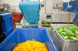 Food processing factory