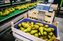 fruit imports fruit imports