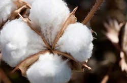 Courtesy of shippee/iStockphoto/Thinkstock Courtesy of shippee/iStockphoto/Thinkstock