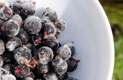 frozen berries frozen berries