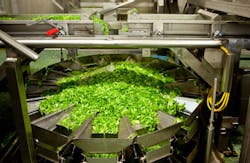 Teun van den Dries/iStockphoto/Thinkstock Teun van den Dries/iStockphoto/Thinkstock