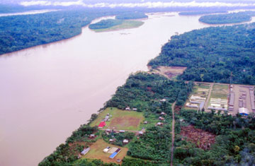 Atelopus/iStockphoto/Thinkstock