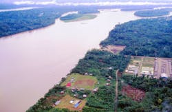 Atelopus/iStockphoto/Thinkstock Atelopus/iStockphoto/Thinkstock