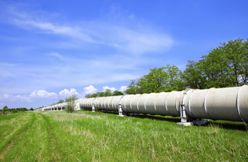 Prykhodov/iStockphoto/Thinkstock