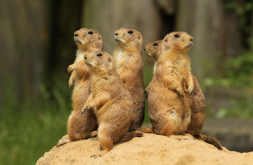 HenkBentlage/iStockphoto/Thinkstock