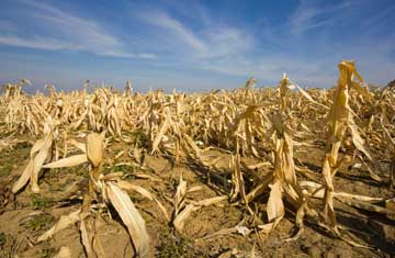 Marccophoto/iStockphoto/Thinkstock