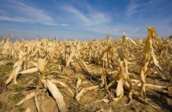 Marccophoto/iStockphoto/Thinkstock Marccophoto/iStockphoto/Thinkstock