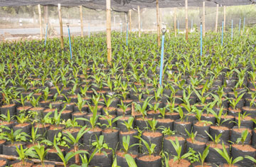 yotrak/iStockphoto/Thinkstock