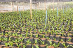 yotrak/iStockphoto/Thinkstock yotrak/iStockphoto/Thinkstock