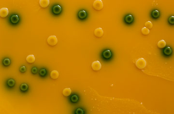 villorejo/iStockphoto/Thinkstock