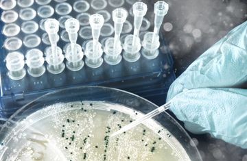 anyaivanova/iStockphoto/Thinkstock