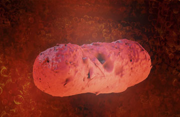 xrender/iStockphoto/Thinkstock