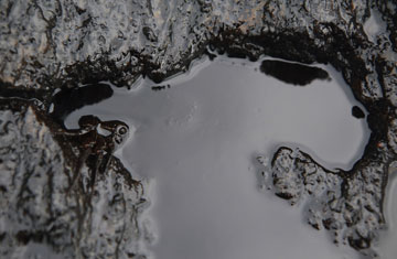 Rufous52/iStockphoto/Thinkstock