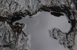 Rufous52/iStockphoto/Thinkstock Rufous52/iStockphoto/Thinkstock