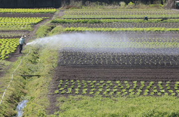 casadaphoto/iStockphoto