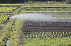 casadaphoto/iStockphoto casadaphoto/iStockphoto