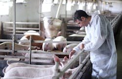 RGtimeline/iStockphoto/Thinkstock RGtimeline/iStockphoto/Thinkstock