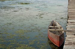 antova/iStockphoto/Thinkstock antova/iStockphoto/Thinkstock