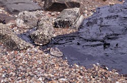 Paul Katz/Photodisc/Thinkstock Paul Katz/Photodisc/Thinkstock