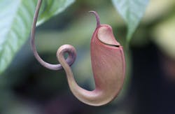 Manassiri/iStockphoto/Thinkstock Manassiri/iStockphoto/Thinkstock