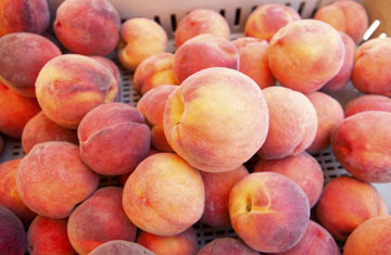 patagonia20/iStockphoto/Thinkstock