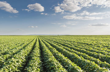 fotokostic/iStockphoto/Thinkstock