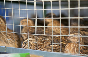 jovanjaric/iStockphoto/Thinkstock