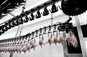 roibu/iStockphoto/Thinkstock