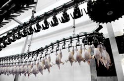 roibu/iStockphoto/Thinkstock roibu/iStockphoto/Thinkstock