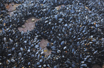 Jaffascapes/iStockphoto/Thinkstock