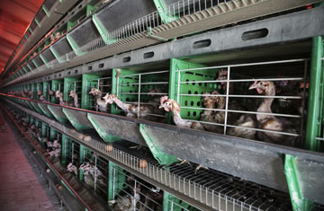 liubomirt/iStockphoto/Thinkstock