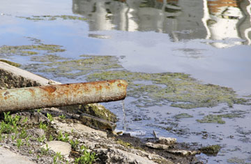 lisaaMC/iStockphoto/Thinkstock