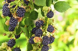 igorr1/iStockphoto/Thinkstock igorr1/iStockphoto/Thinkstock