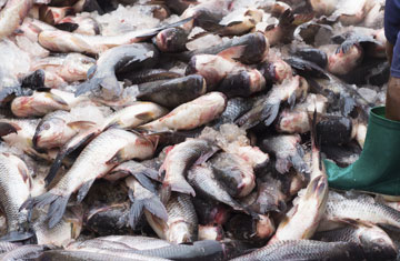 epixx/iStockphoto/Thinkstock