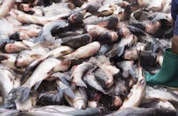 epixx/iStockphoto/Thinkstock epixx/iStockphoto/Thinkstock