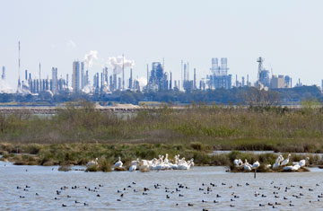 Houston chemical industry