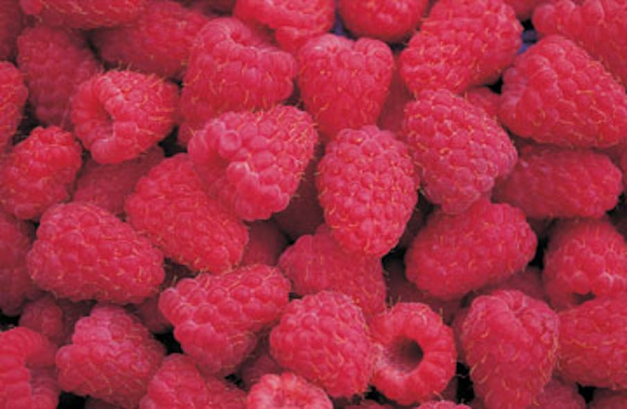 red berries